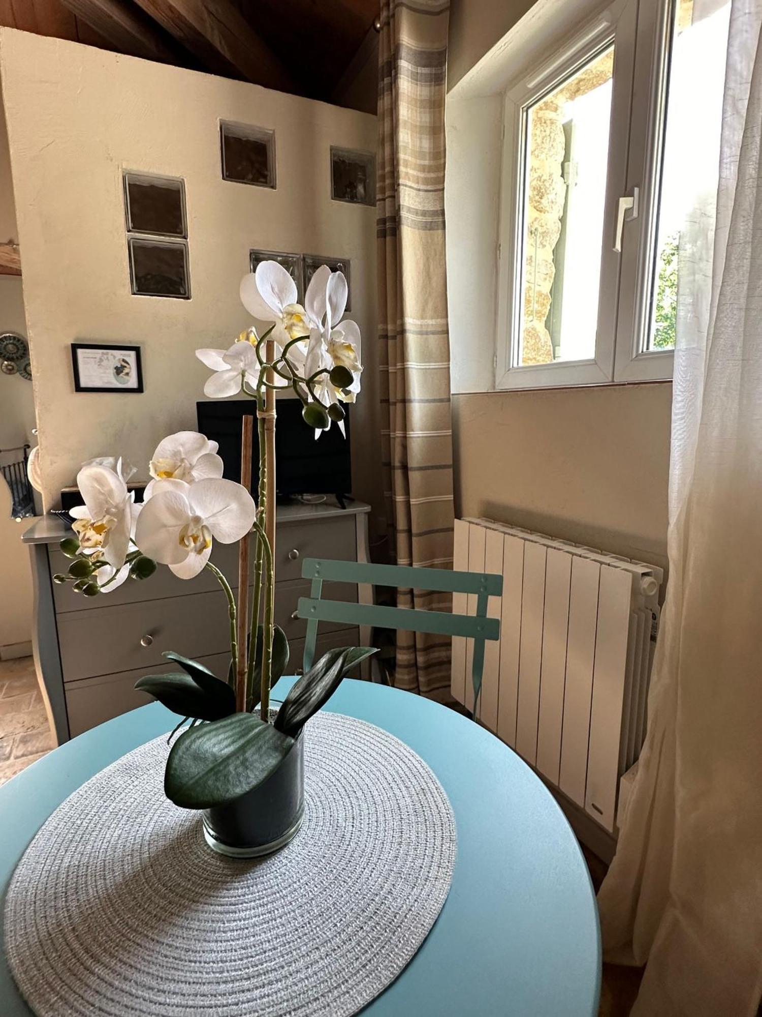 Maisonnette Independante Au Calme Dans Un Grand Jardin Châteauneuf-du-Rhône エクステリア 写真