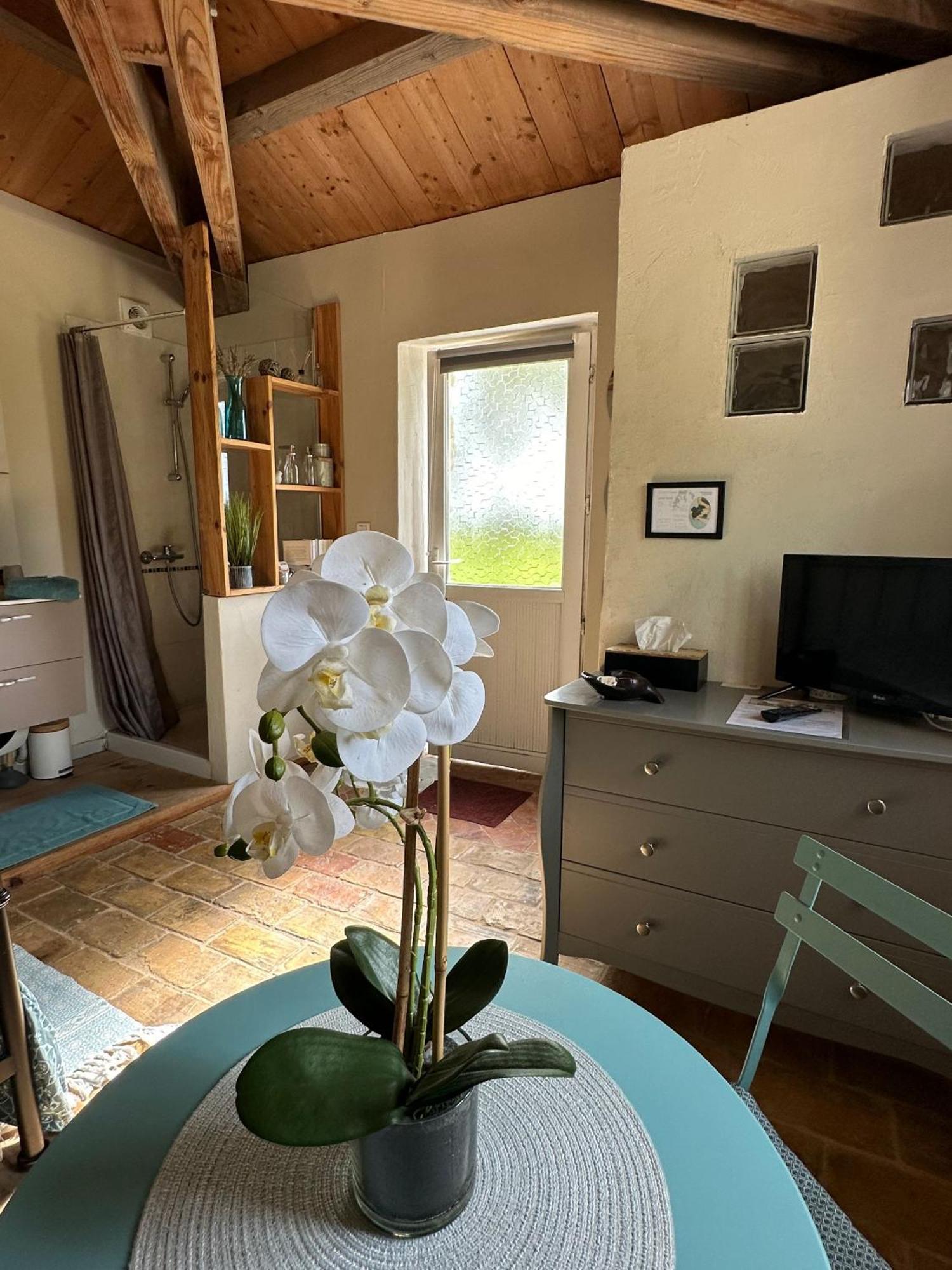 Maisonnette Independante Au Calme Dans Un Grand Jardin Châteauneuf-du-Rhône エクステリア 写真