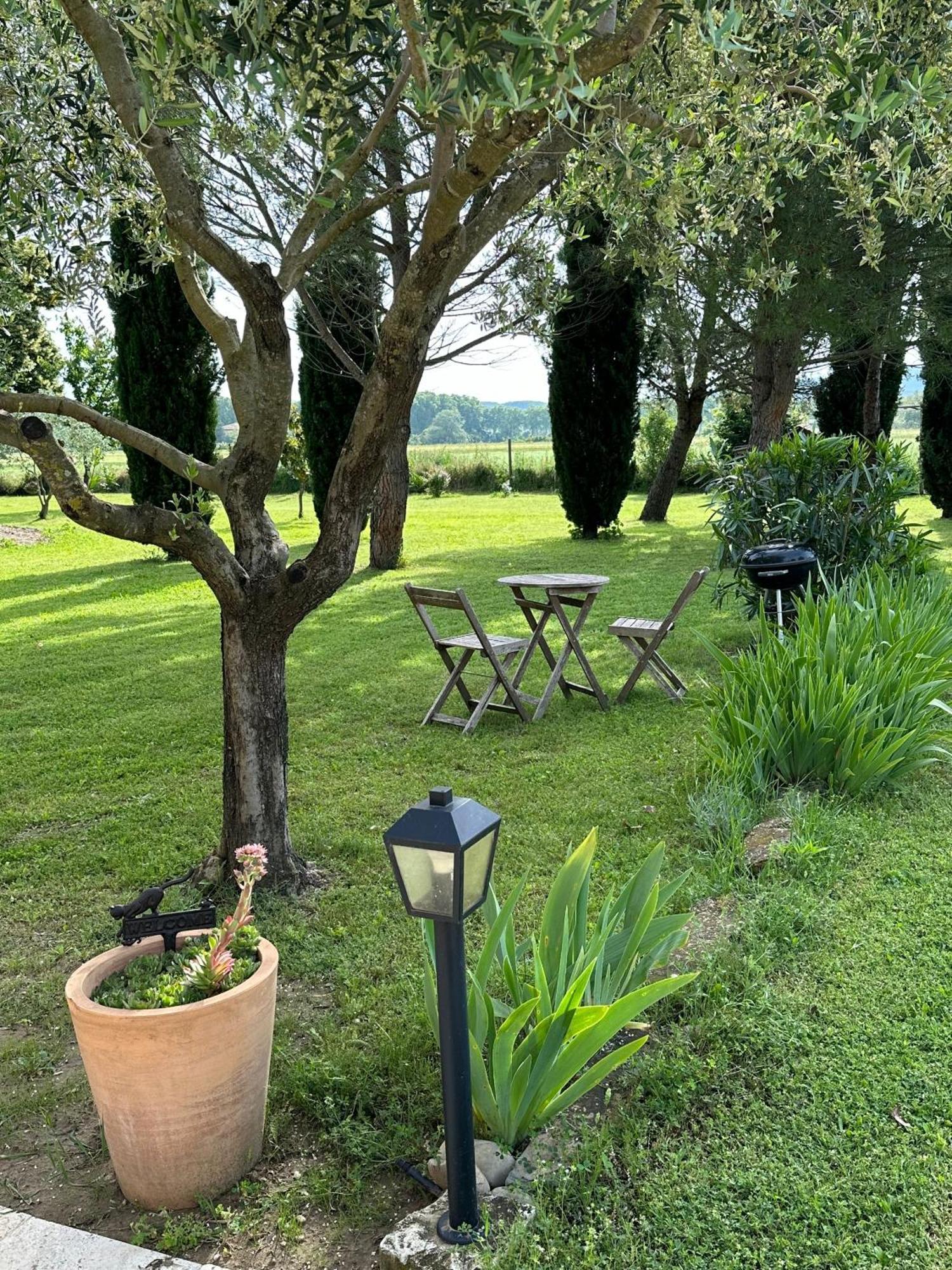 Maisonnette Independante Au Calme Dans Un Grand Jardin Châteauneuf-du-Rhône エクステリア 写真