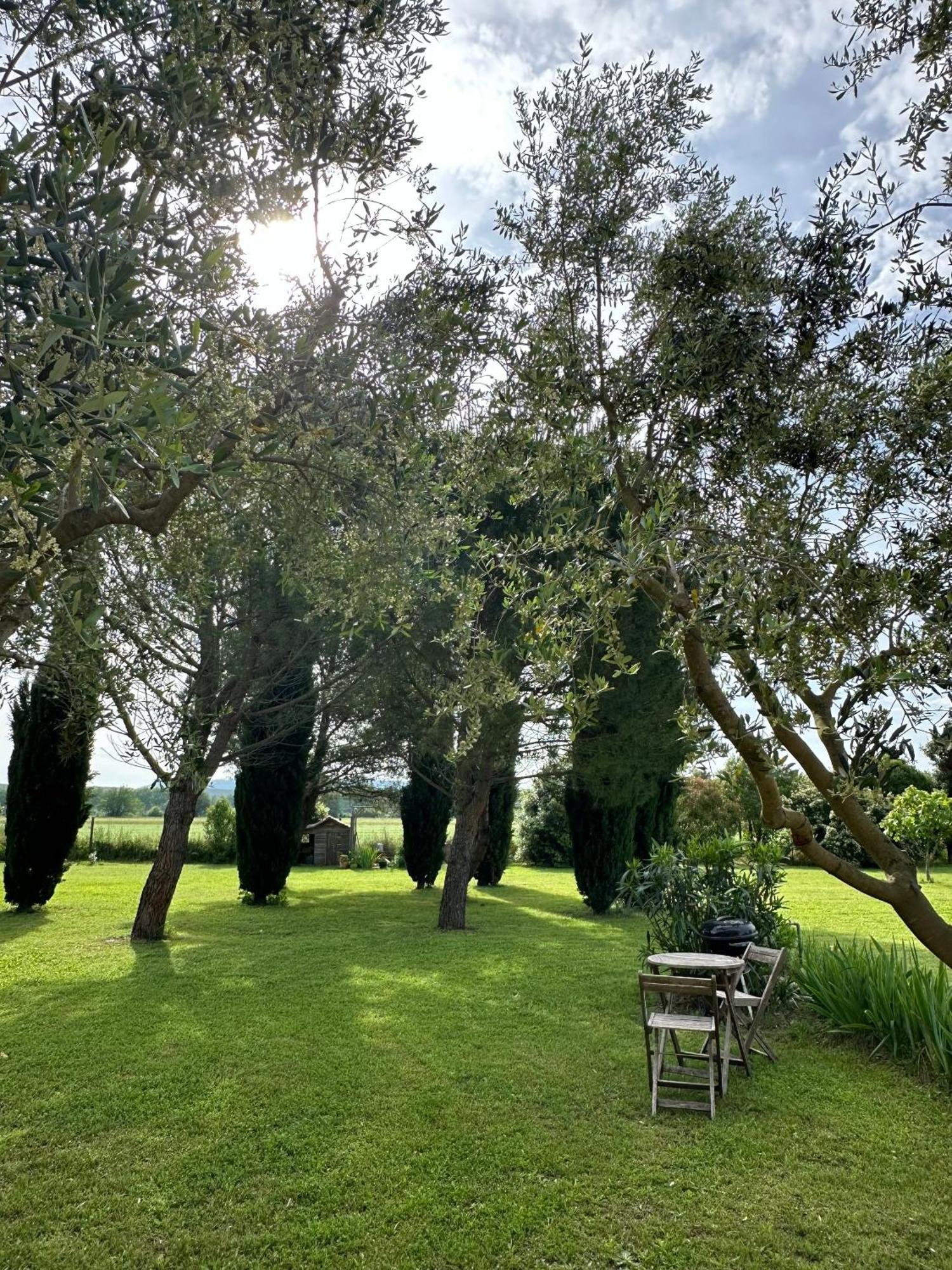 Maisonnette Independante Au Calme Dans Un Grand Jardin Châteauneuf-du-Rhône エクステリア 写真