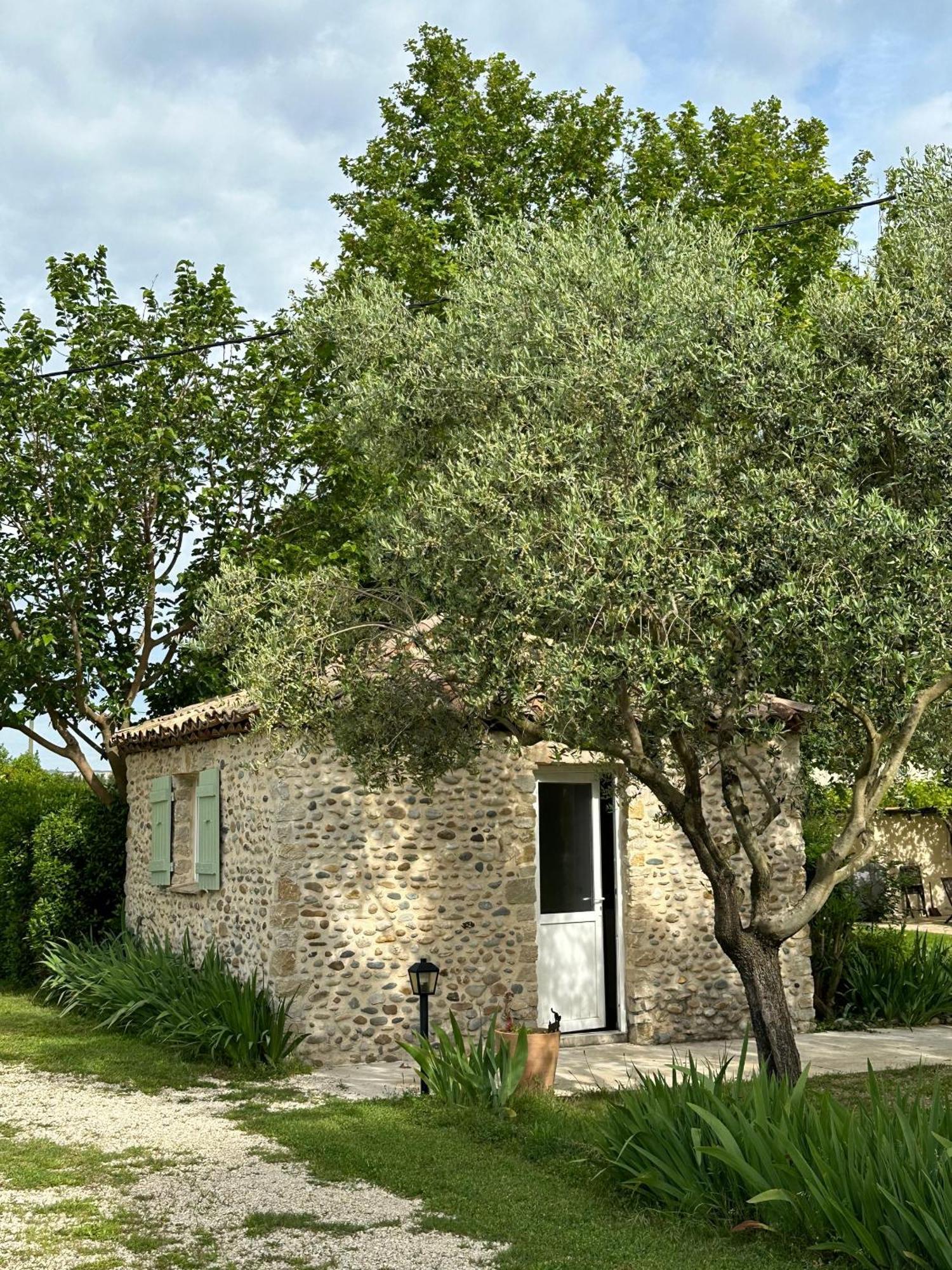 Maisonnette Independante Au Calme Dans Un Grand Jardin Châteauneuf-du-Rhône エクステリア 写真