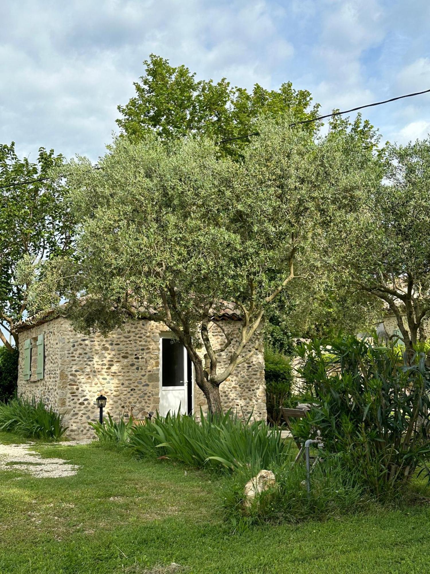 Maisonnette Independante Au Calme Dans Un Grand Jardin Châteauneuf-du-Rhône エクステリア 写真